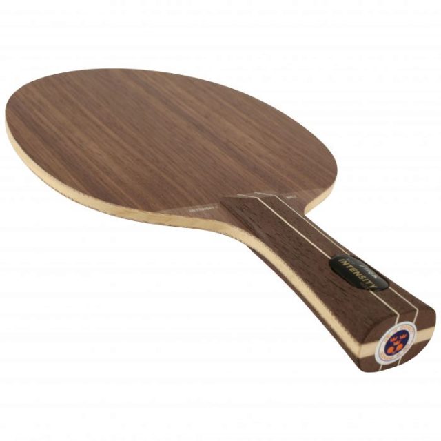 Some Great Professional Ping Pong Blades Reviews - Sports Websites