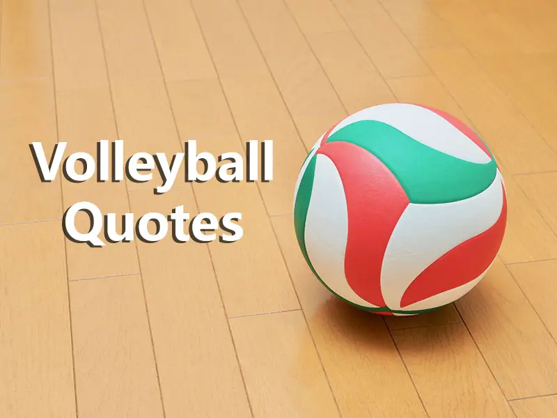 38 Inspirational and Motivational Volleyball Quotes